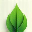 Icône ou photo évoquant l’écologie (feuille, planète verte)